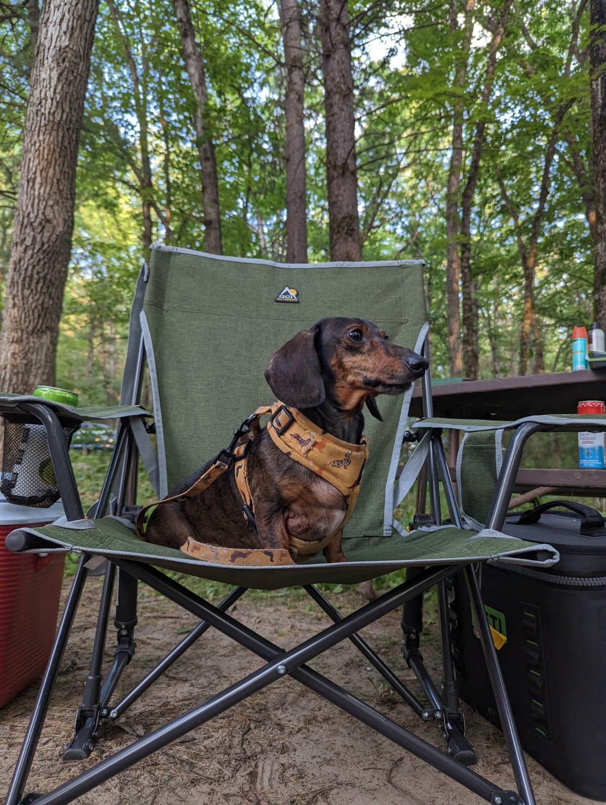 GCI OUTDOOR Kickback Rocker Camping Chair | Portable Folding Rocking Chair with Durable Armrests, Drink Holder & Relaxed Lowered Seat for Comfort — Loden Green - Customer Photo 1