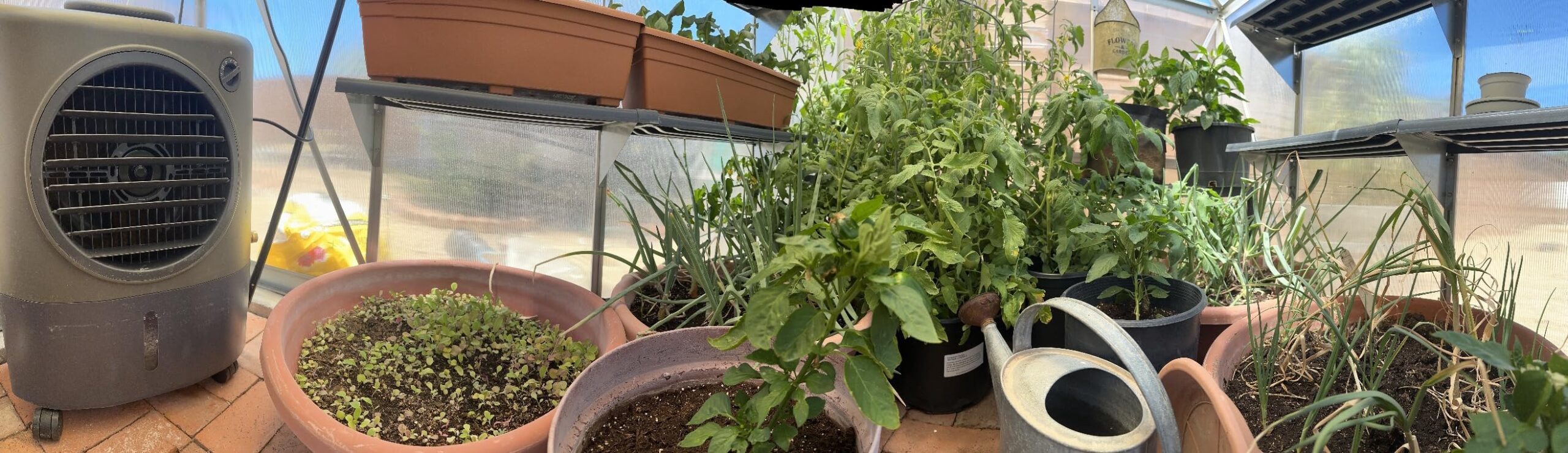 Hessaire MC18V Portable Evaporative Cooler, Green, 1300 CFM, Cools 500 Square Feet - Customer Photo 2