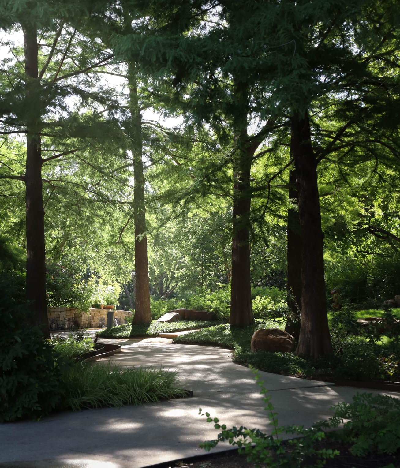 Canon EOS RP Full-Frame Mirrorless Interchangeable Lens Camera + RF24-105mm Lens F4-7.1 is STM Lens Kit- Compact and Lightweight for Traveling and Vlogging, Black (3380C132) - Customer Photo 2