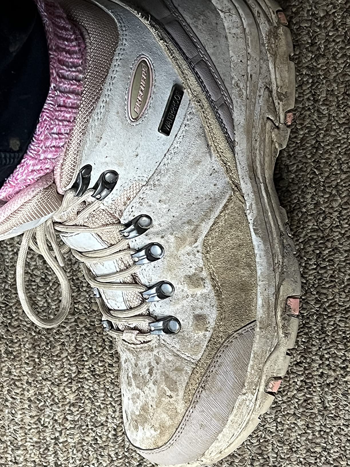 Skechers Women's Trego - Rocky Mountain Hiking Boot - Customer Photo 4