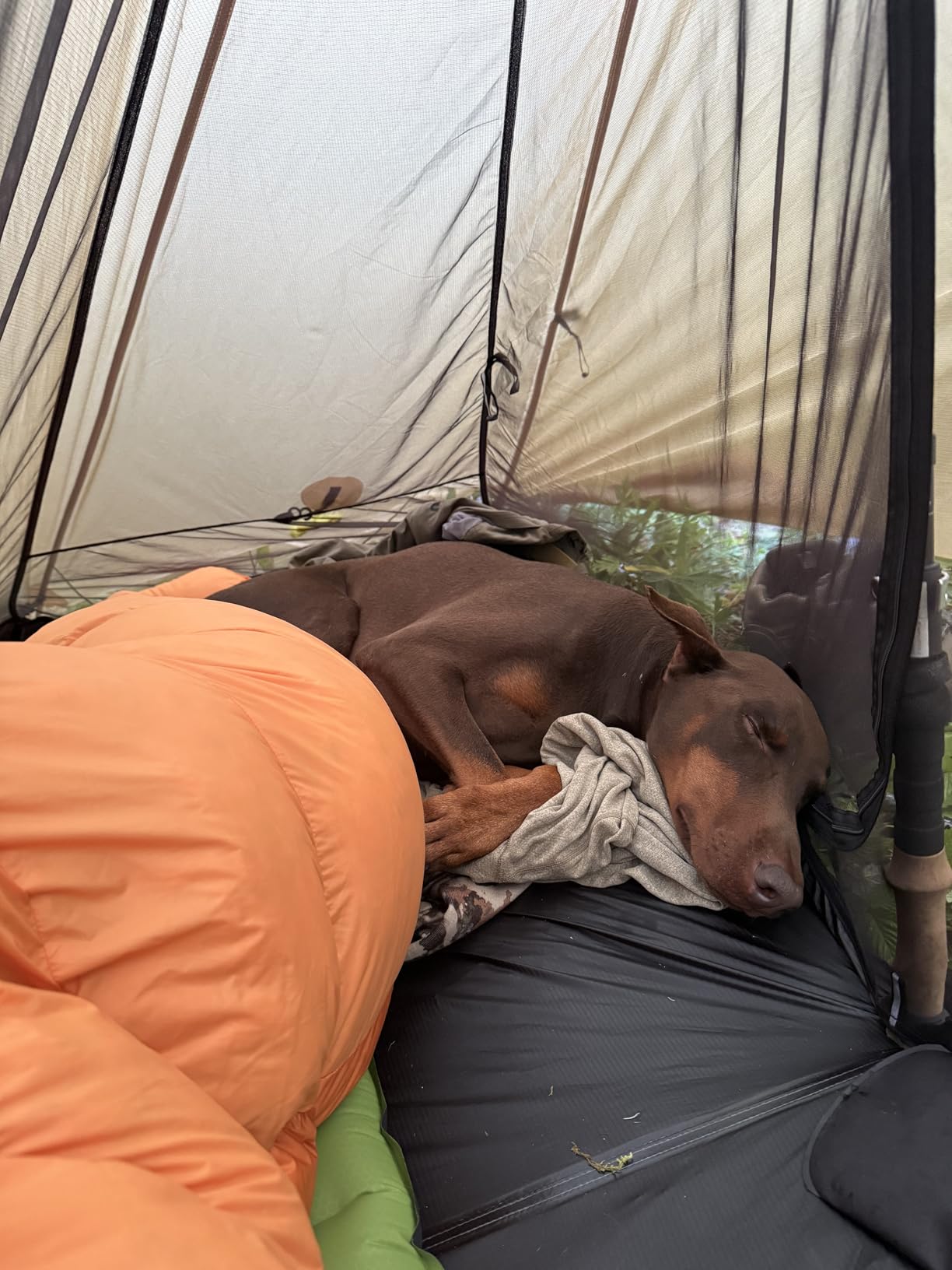 Gear Doctors ApolloAir 5.2 R-Value [17oz] Ultralight Insulated Inflatable Camping Sleeping Pad — Backpacking Sleeping Pad — Camping Mattress Compact Lightweight for Hiking—Air Mattress for Backpacking - Customer Photo 2