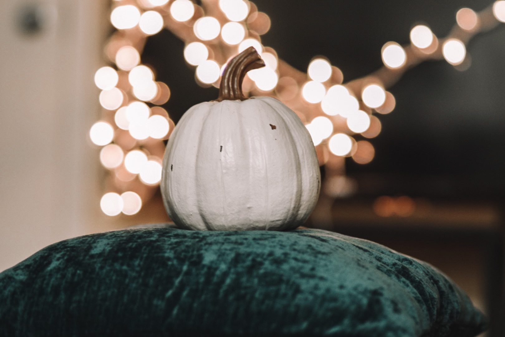 Meike 85mm f1.8 Wide Aperture Full Frame Auto Focus Telephoto Lens for Nikon F Mount DSLR Camera and Compatible with Nikon APS-C Cameras D610 D750 D780 D810 Customer Review Meike 85mm f1.8 Wide Aperture Full Frame Auto Focus Telephoto Lens for Nikon F Mount DSLR Camera and Compatible with Nikon APS-C Cameras D610 D750 D780 D810 - Customer Photo 2