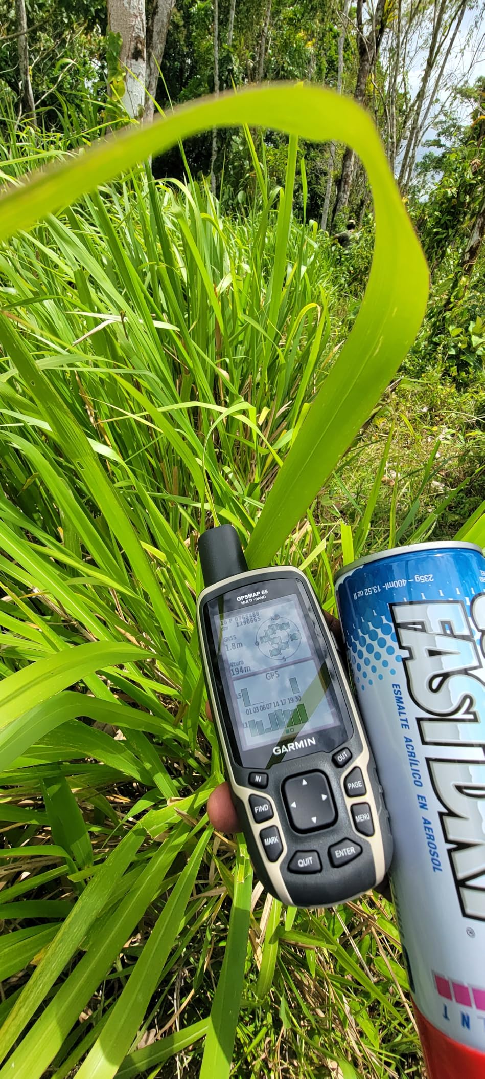 Garmin GPSMAP 65, Button-Operated Handheld with Expanded Satellite Support and Multi-Band Technology, 2.6