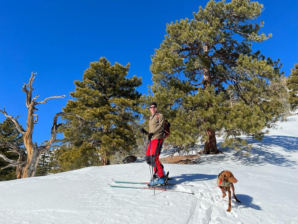 POMOCA Climb Pro S-Glide Ready 2 Climb Climbing Skin for Backcountry Touring and Ski Mountaineering Customer Review POMOCA Climb Pro S-Glide Ready 2 Climb Climbing Skin for Backcountry Touring and Ski Mountaineering - Customer Photo 1