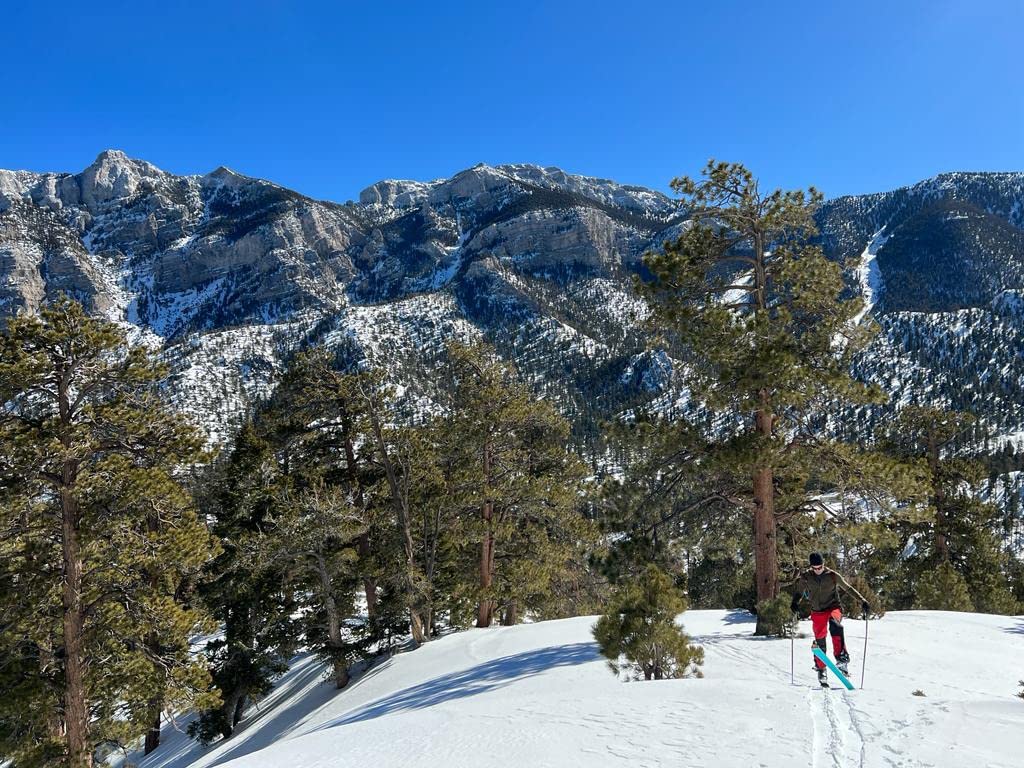 POMOCA Climb Pro S-Glide Ready 2 Climb Climbing Skin for Backcountry Touring and Ski Mountaineering Customer Review POMOCA Climb Pro S-Glide Ready 2 Climb Climbing Skin for Backcountry Touring and Ski Mountaineering - Customer Photo 2