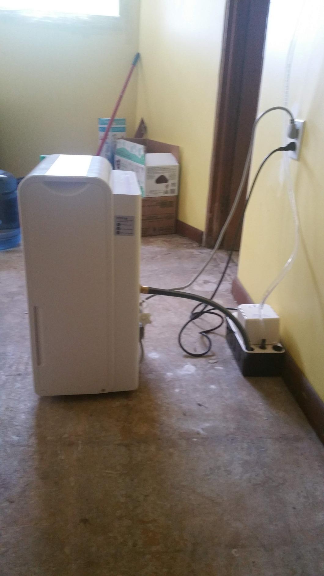 hOmeLabs 40 Pint Dehumidifier with Pump for up to 6,000 Sq Ft Rooms (MAX 104 Pint at 95°F, 90% RH) – Powerful Moisture Removal for Medium to Large Rooms and Basements - Customer Photo 1