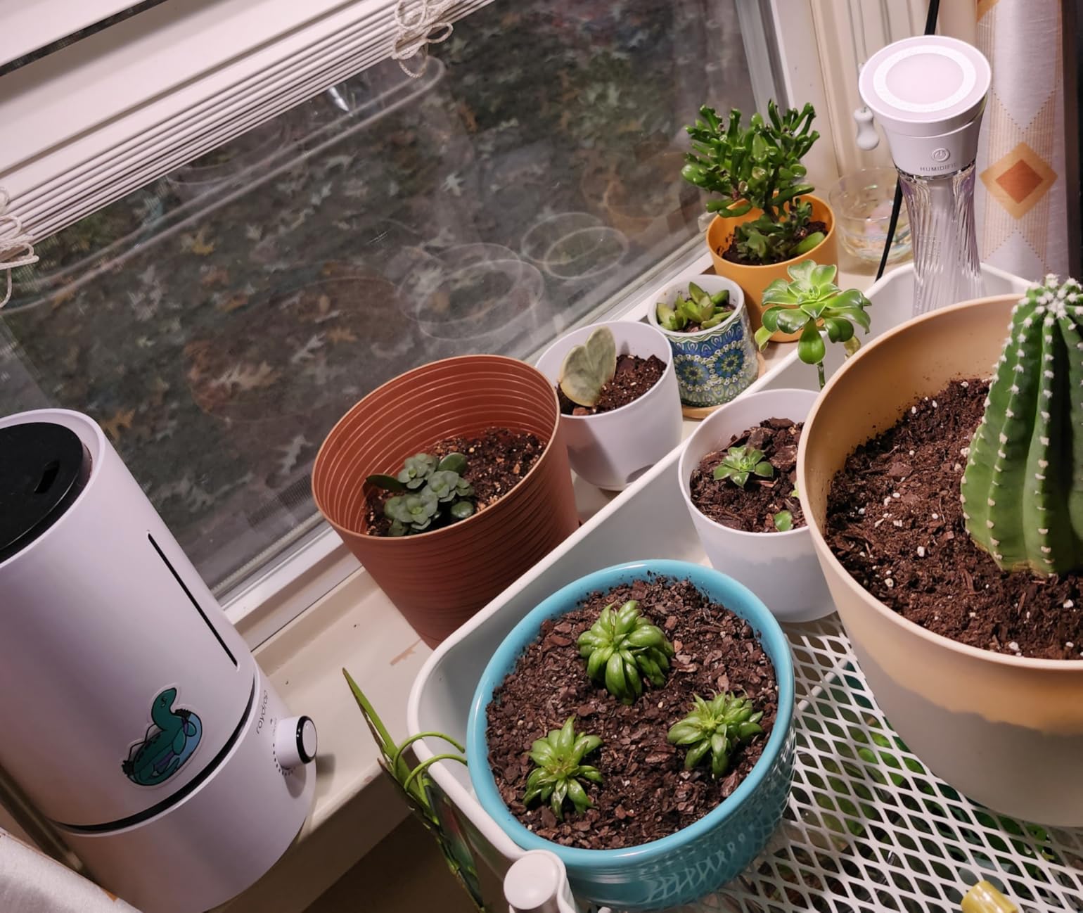 raydrop Humidifiers for Bedroom, Cool Mist Humidifiers for Babies, 1.70L Quiet Ultrasonic Humidifier, Space-Saving, Filterless, Auto Shut Off - (0.45 Gallon, US 110V) - Customer Photo 2