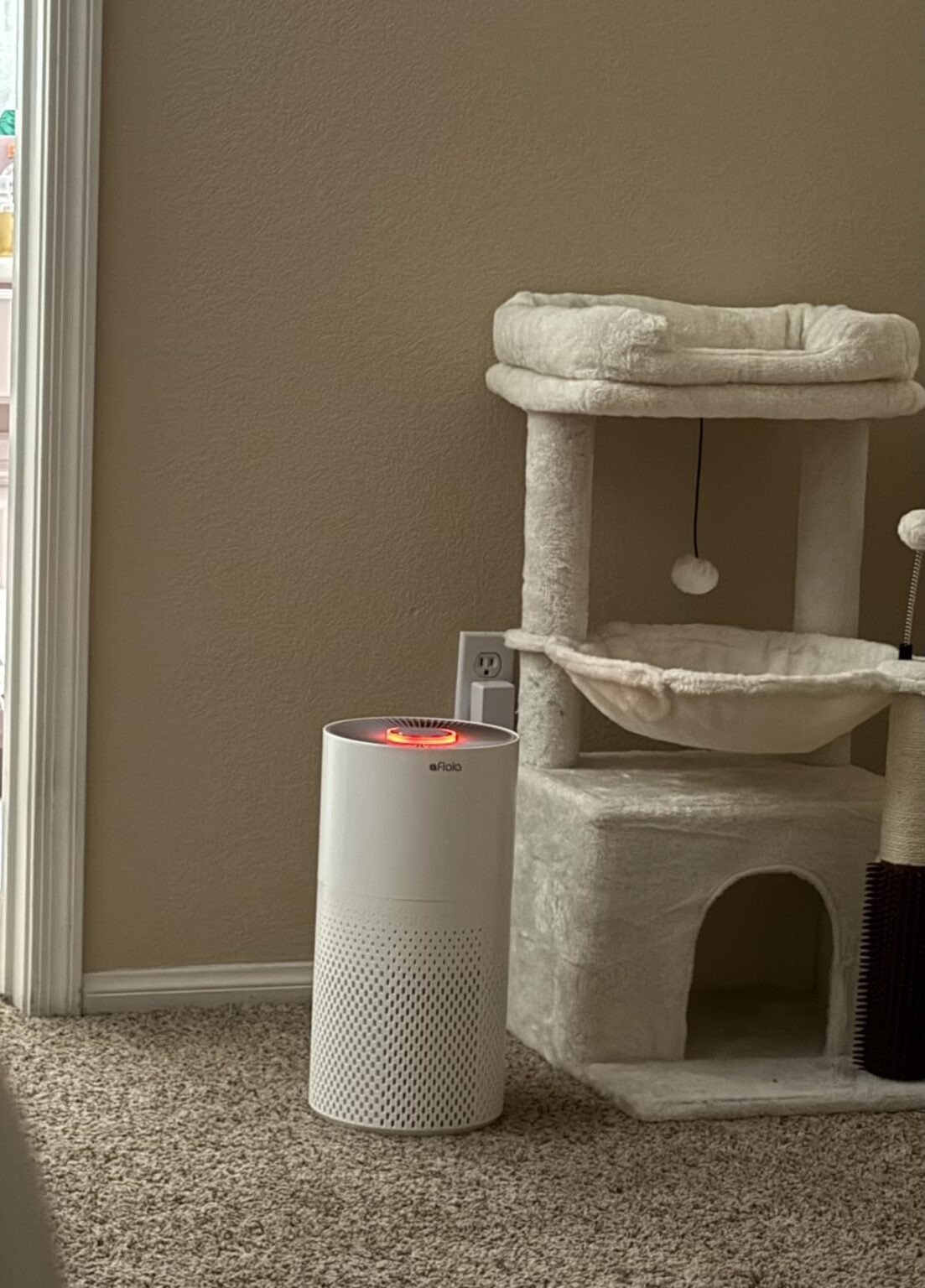 8 Best Air Purifiers for Mold Tested & Reviewed August 2026