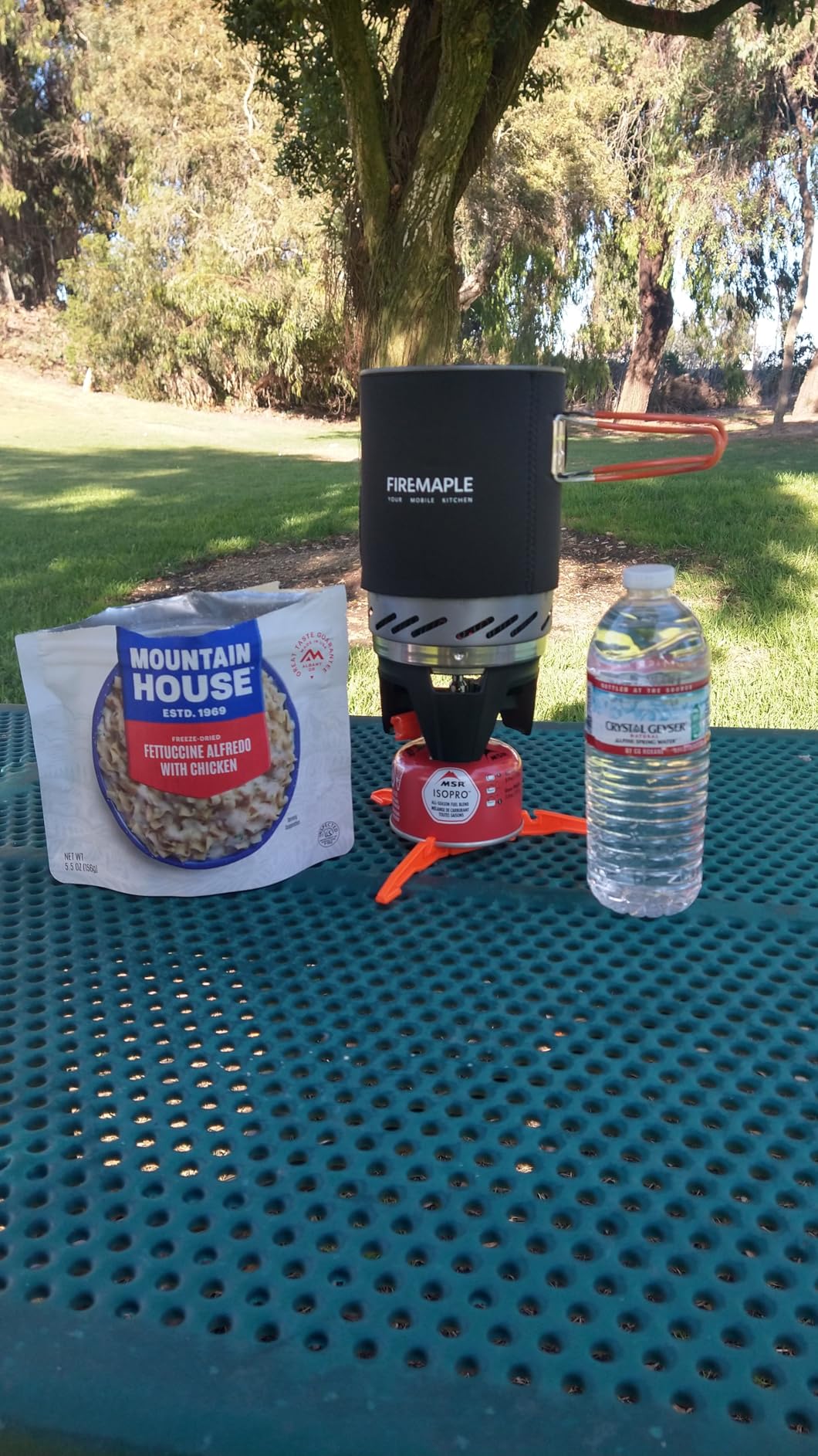 Mountain House Fettuccine Alfredo with Chicken | Freeze Dried Backpacking & Camping Food | 2 Servings - Customer Photo 1