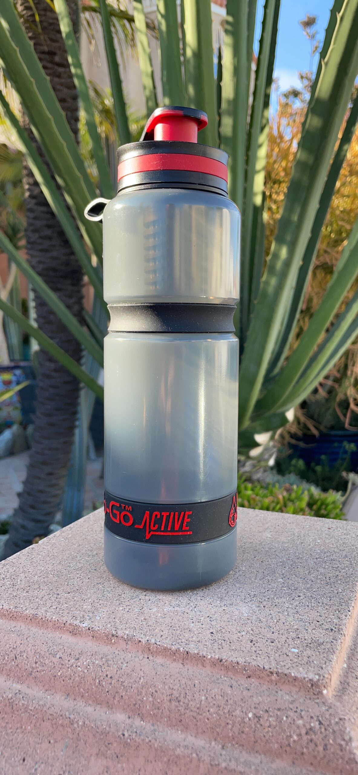 Water-to-Go Water Filter Bottle for International Travel - 24oz/75cl Filtered Water Bottle for Portable Purification - Eco-Friendly Bioplastic, New Leak-Proof Lid, Filters Viruses Most Bottles Miss - Customer Photo 1