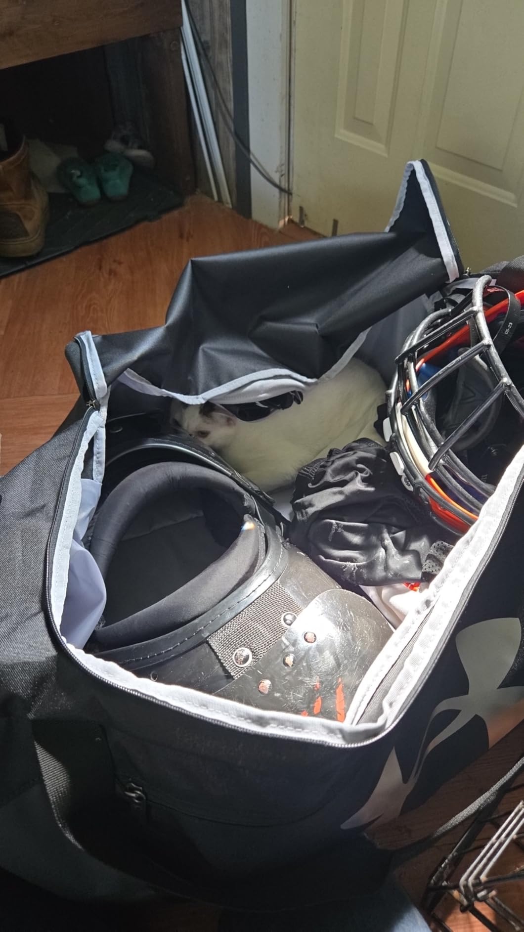 Under Armour Unisex-Adult Undeniable 5.0 Duffle - Customer Photo 4