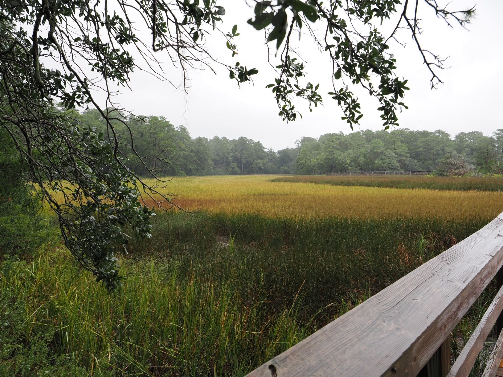 Olympus M.Zuiko Digital ED 8-25mm F4.0 PRO for Micro Four Thirds System Camera, Compact Ultra Wide Zoom Lens, Weather Sealed Design, MF Clutch, L-Fn Button - Customer Photo 1