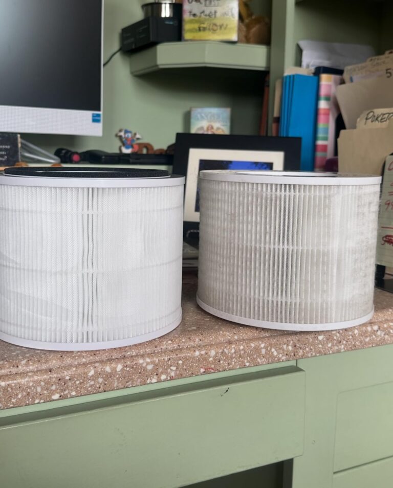 8 Best Air Purifiers for Mold Tested & Reviewed August 2026