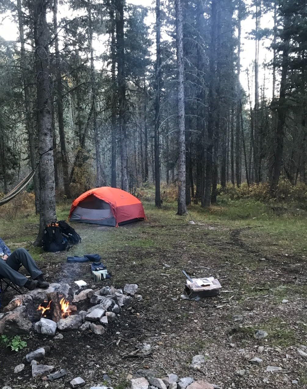 TETON 55L Scout Internal Frame Backpack for Hiking, Camping, Backpacking, Rain Cover Included - Customer Photo 2