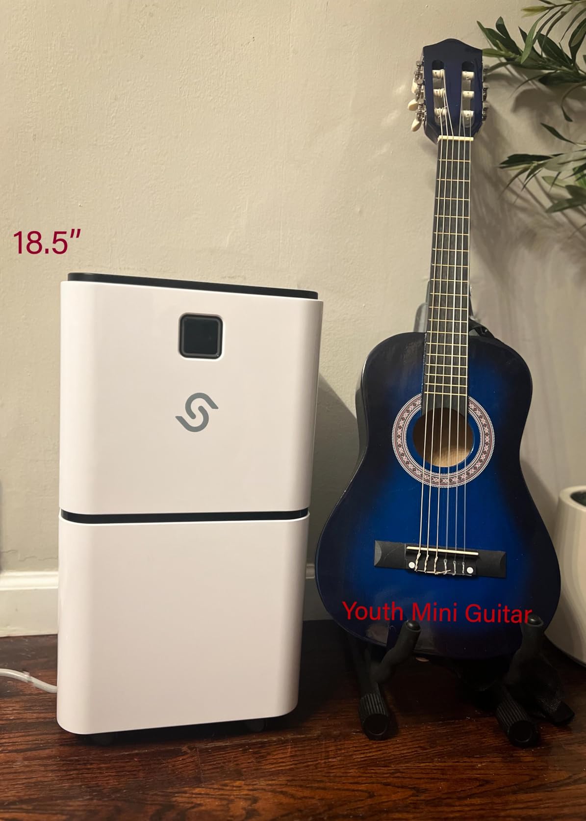 2000 Sq. Ft Dehumidifier for Home/Basement, 30 Pints 36 dB Dehumidifiers for Bedroom/Bathroom With Drain Hose LED Intelligent Humidity Light - Customer Photo 1