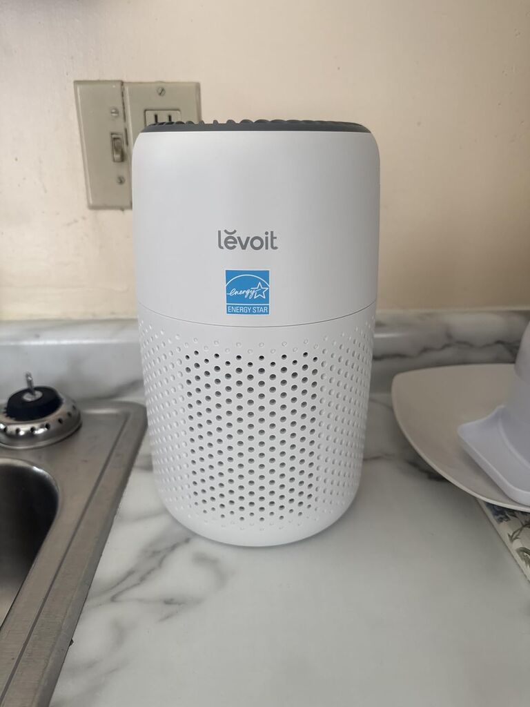 Levoit Air Purifiers for Bedroom Home Pets Dorm Room, Small Air Purifiers | Filter Cleaner with Fragrance Sponge, Core Mini-P, White customer photo 2