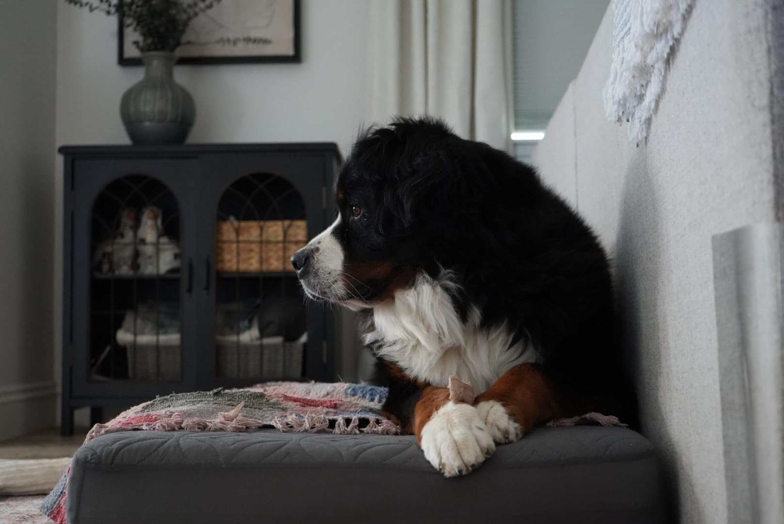 Sony Alpha 7 IV Full-frame Mirrorless Interchangeable Lens Camera with 28-70mm Zoom Lens Kit - Customer Photo 1