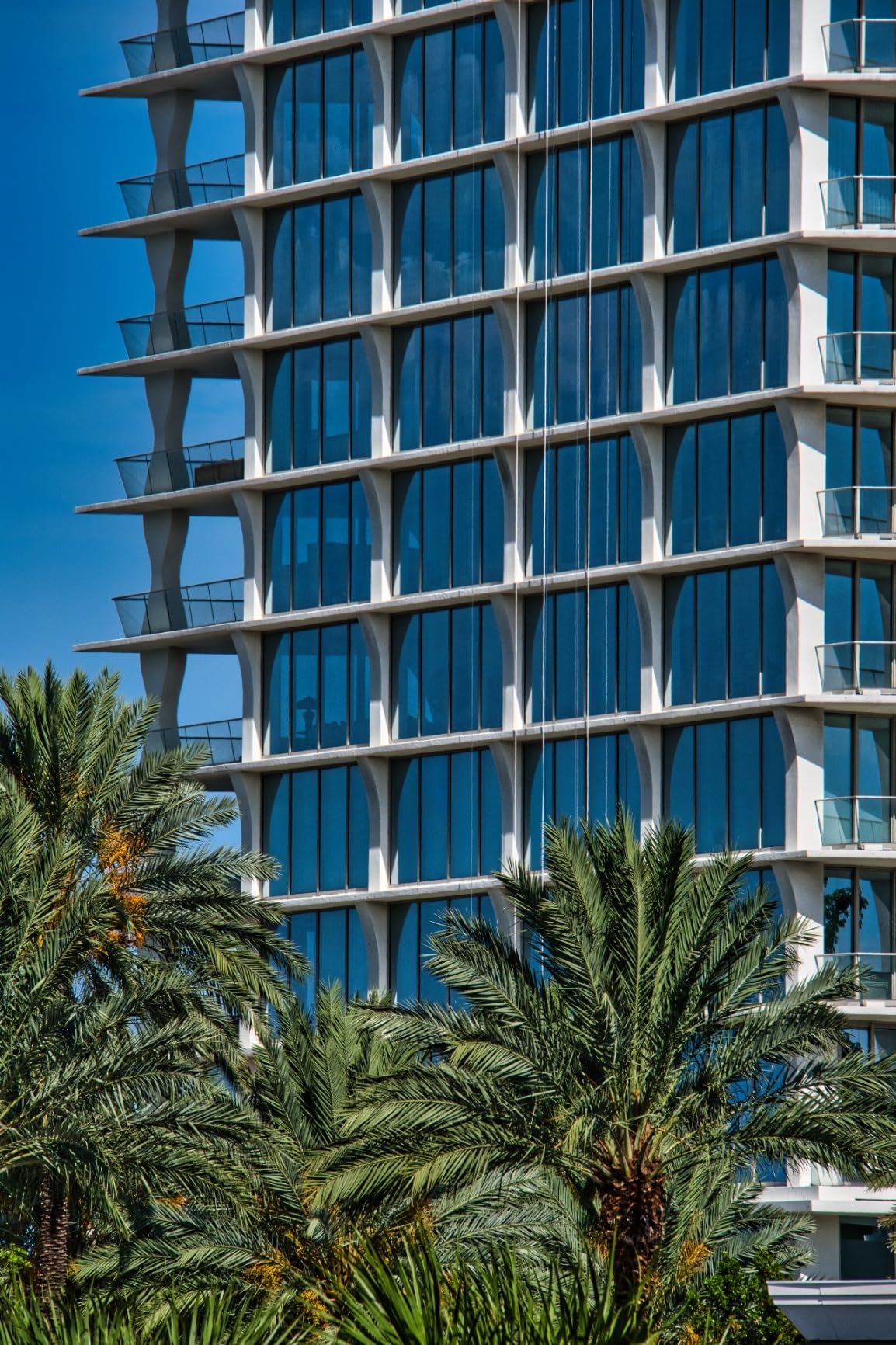 Tamron 18-300mm F/3.5-6.3 Di III-A VC VXD for Fujifilm X-Mount (Tamron 6 Year Limited USA Warranty) - Customer Photo 1