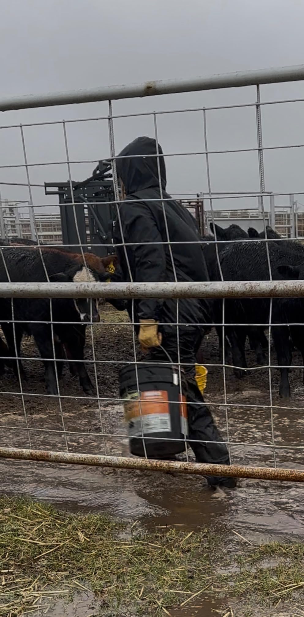 iCreek Men's Rain Pants Waterproof Over Pants Windproof Lightweight Hiking Pants Work Rain Outdoor for Golf, Fishing - Customer Photo 2