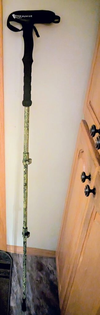 Hiker Hunger Carbon Fiber Trekking Poles | Hiking Poles for Men | Kids Walking Stick | Kids Hiking Poles | Walking Poles for Seniors Women | Hiking Poles for Kids - Blue Cork - Customer Photo 1