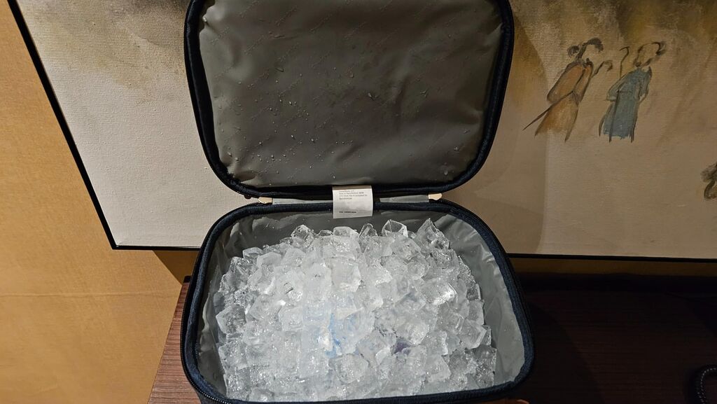 CleverMade Collapsible Insulated Cooler Bag – Leakproof Soft Folding Cooler for Beach, Travel, Car - Customer Photo 5