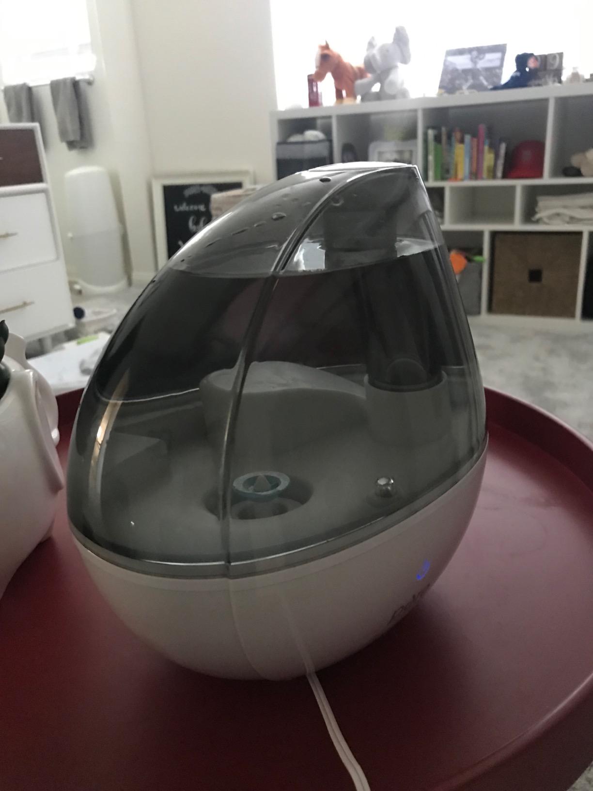 Pure Enrichment PureBaby Ultrasonic Cool Mist Humidifier & Soft Glow Night Light, Whisper-Quiet and Ideal for Baby Nurseries & Kids Bedrooms to Relieve Congestion, Colds, & Coughs (Whisper Green) - Customer Photo 4