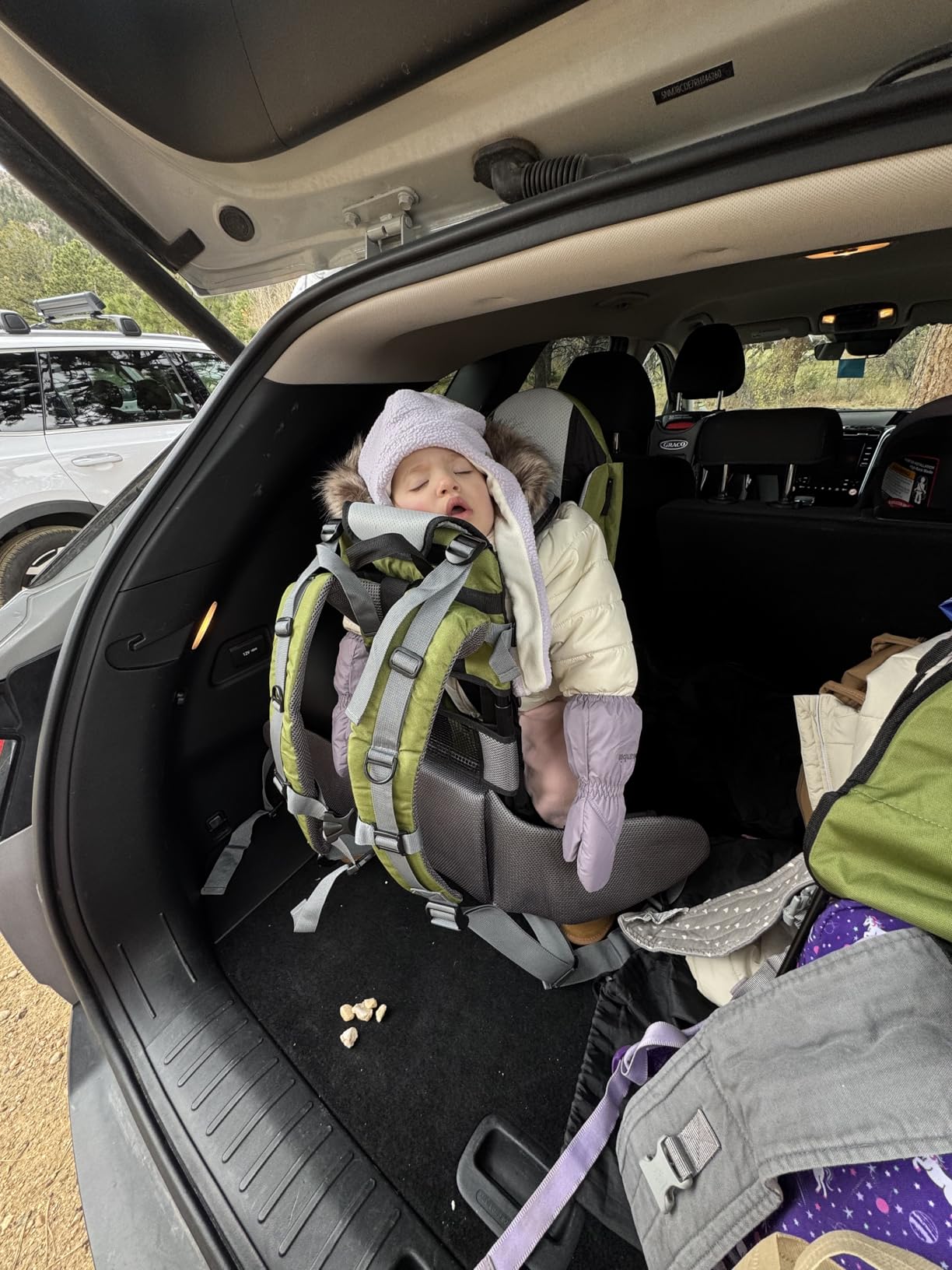 besrey Baby Backpack Carrier, Toddler Hiking Backpack with Safety 3-Height Seat, Adjustable Straps&Waist Belt, Foldable Frame Lightweight Large Capacity Child Carrier for Hiking (Black) - Customer Photo 2