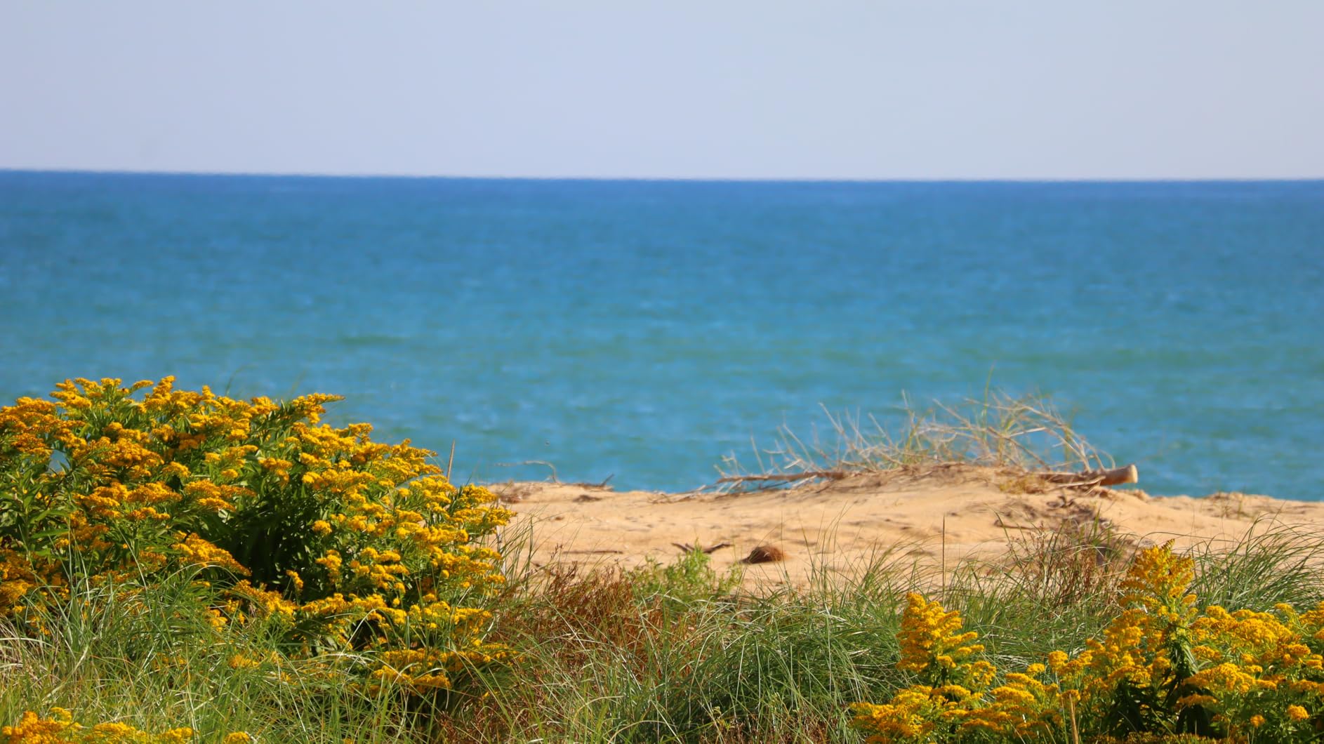 Canon EOS R100 Mirrorless Camera RF-S18-45mm F4.5-6.3 is STM Lens Kit, 24.1 Megapixel CMOS (APS-C) Sensor, 4K Video, RF Mount, Black - Customer Photo 1