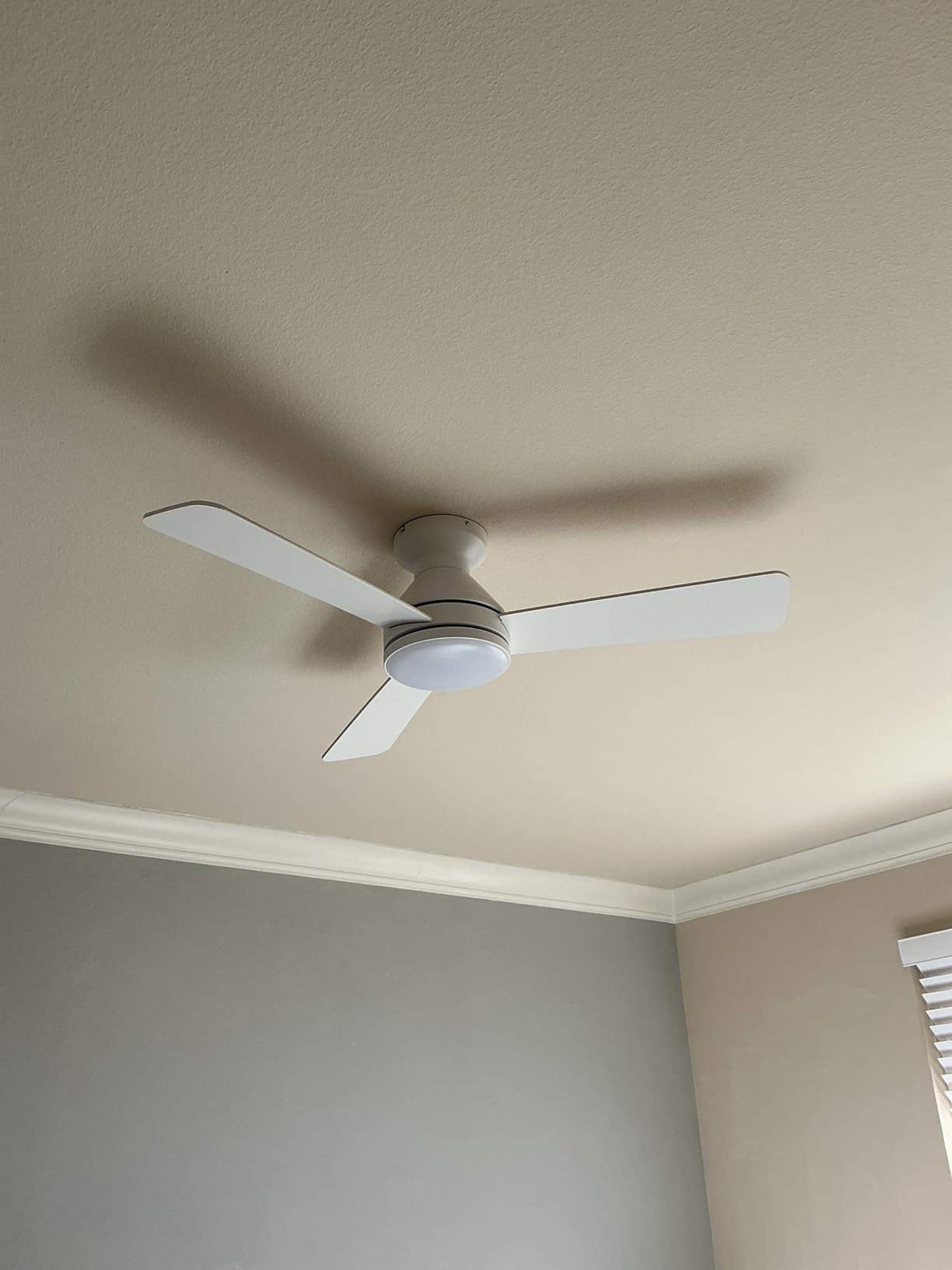 Amico Ceiling Fans with Lights, 42 inch Low Profile Ceiling Fan with Light and Remote Control, Flush Mount, Reversible, 3CCT, Dimmable, Noiseless, Black Ceiling Fan for Bedroom, Indoor/Outdoor Use - Customer Photo 1