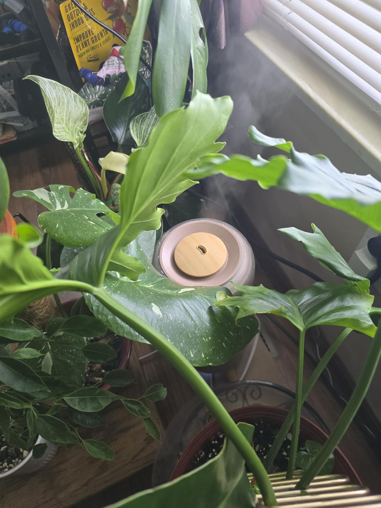 Homedics Ultrasonic Humidifier, Bedrooms and Home Offices, 0.97-Gallon Tank, 45-Hour Runtime, Visible Ultra-Quiet Cool Mist, Aromatherapy, Demineralization Cartridge, Night-Light, Auto-Off, White - Customer Photo 1