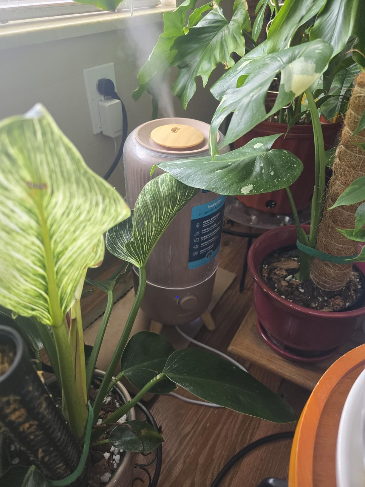 Homedics Ultrasonic Humidifier, Bedrooms and Home Offices, 0.97-Gallon Tank, 45-Hour Runtime, Visible Ultra-Quiet Cool Mist, Aromatherapy, Demineralization Cartridge, Night-Light, Auto-Off, White - Customer Photo 2