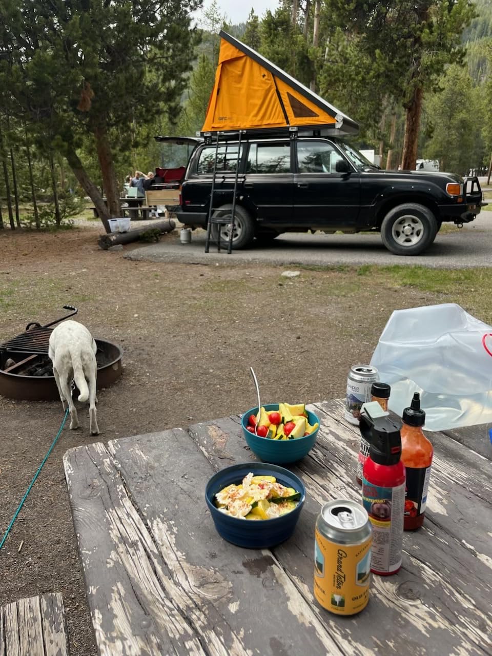 Rubtlamp Wheat Straw Dinnerware Sets, 16PCS Plastic Dinnerware Set for 4, Wheat Straw Plates and Bowls Sets, Unbreakable Dinnerware Plastic Microwave Safe Dishes Set for Kitchen&Camping - Customer Photo 1