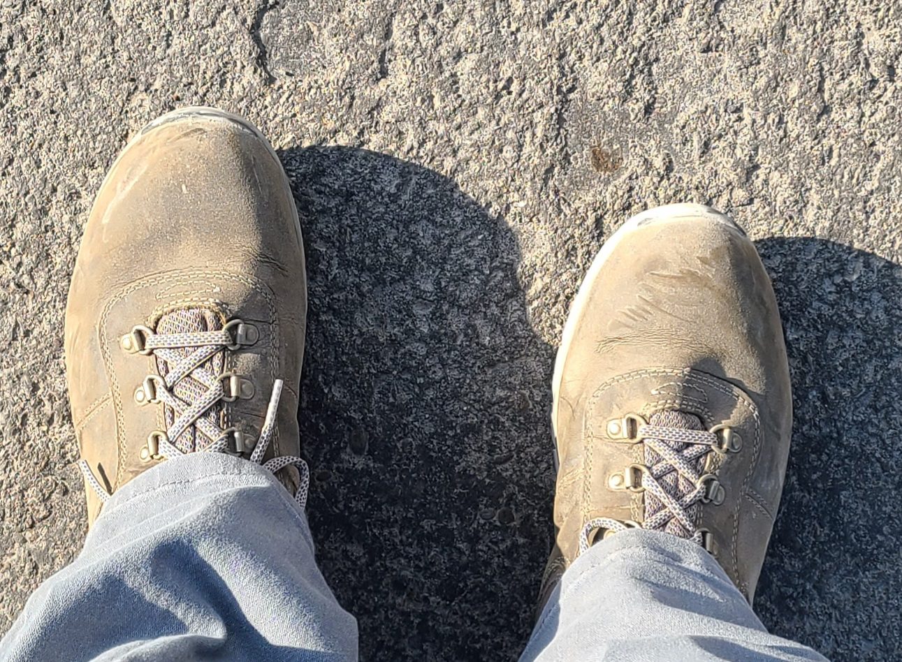 Timberland womens Mt. Maddsen Mid Leather Waterproof Hiker - Customer Photo 3