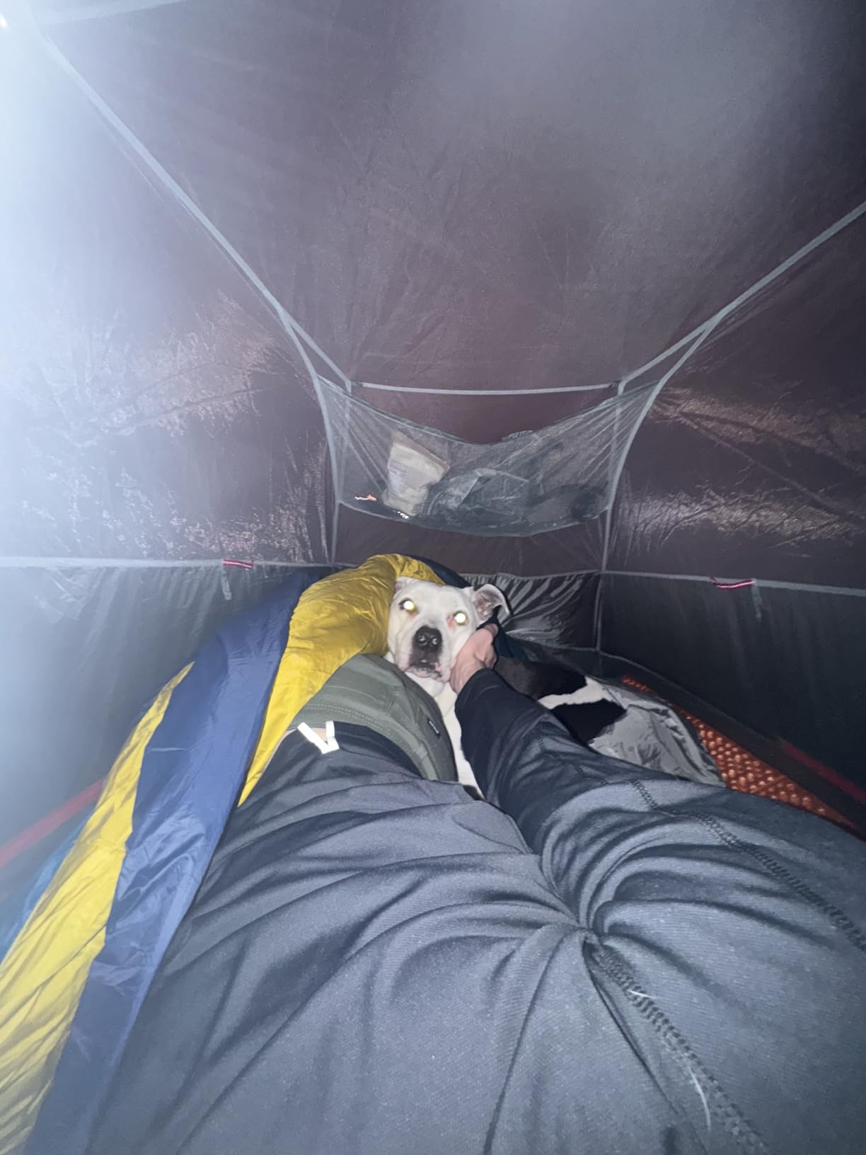 Kelty Cosmic 20 Down Mummy Sleeping Bag for Backpacking, Campers, 550 Fill Power, Recycled Fabrics with PFAS-Free DWR, Designed in Sunny Colorado - Customer Photo 3