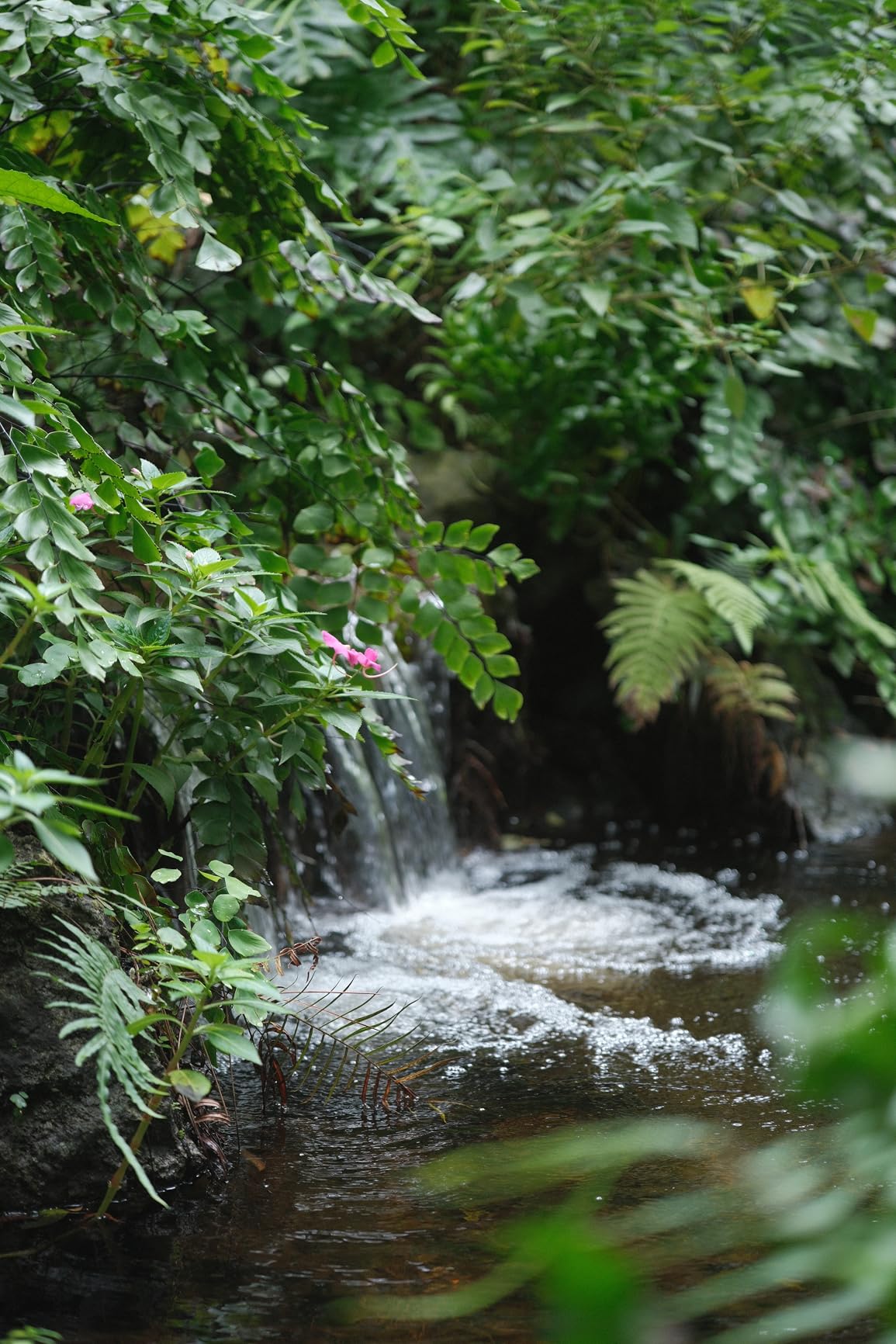 VILTROX 56mm F1.7 Fuji XF, 56mm f/1.7 Fuji X Mount Lens, APS-C Lens for Fujifilm X-Mount X-T5 X-T4 X-T30 II X-S10 X-T200 X-T30 X-H1 X-H2 X-T3 X-T100 - Customer Photo 1