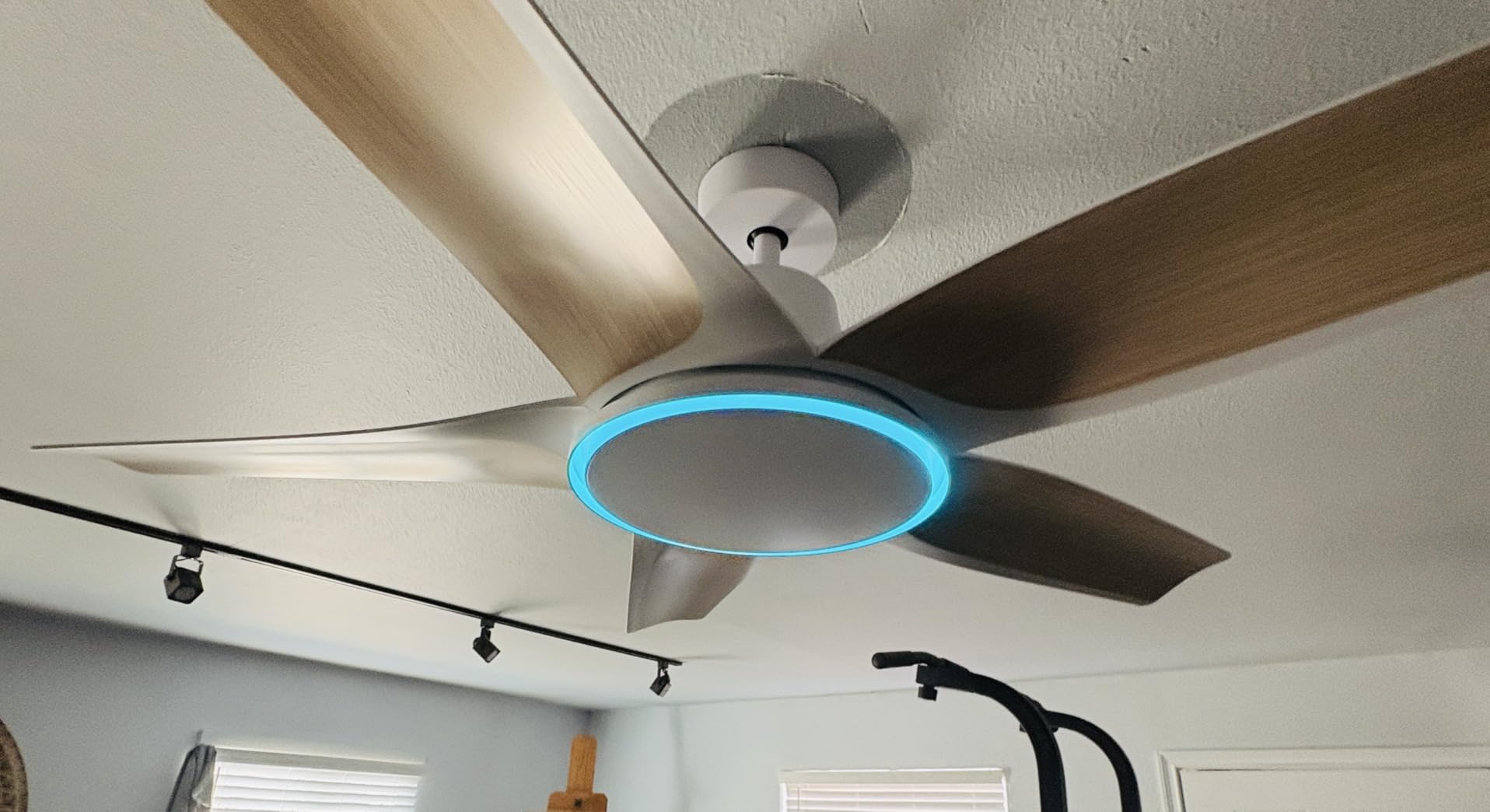 Dreo Smart Ceiling Fans with Lights, Low profile Ceiling Fan with Alexa/App, 52'' Dimmable Lighting & Color Tuning, RGB Ambient Light for Living Room, Game Room, Easy Installation, Quiet, Black - Customer Photo 1