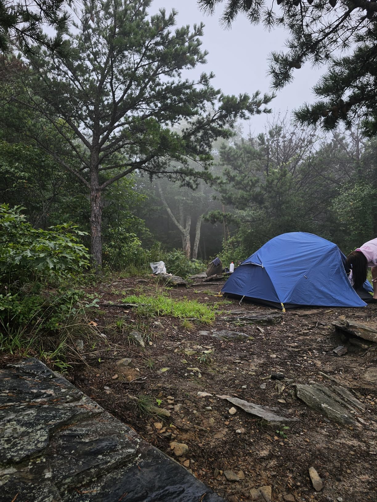 Naturehike Mongar 2 Person 3 Season Camping Tent Ultralight Backpacking Tent for Hiking Cycling - Customer Photo 2