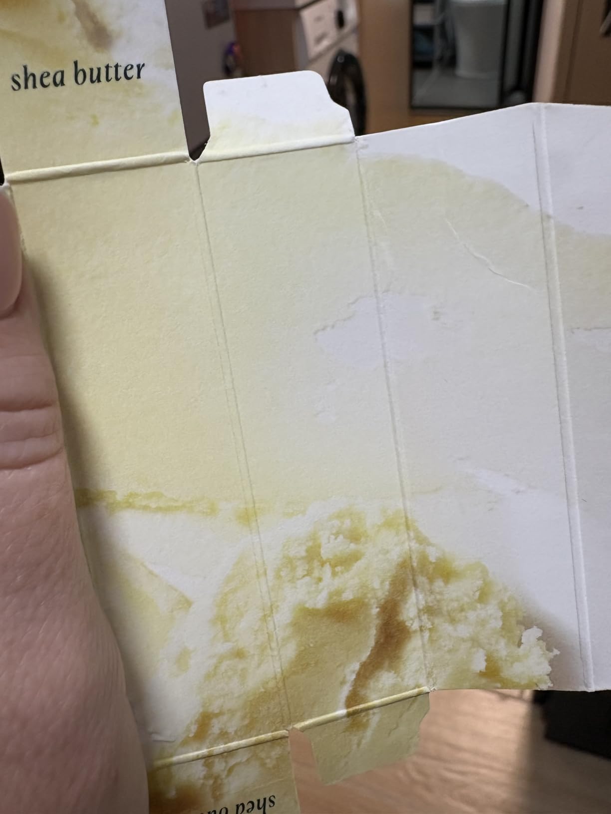 Well People Lush Lip Tinted Oil, Moisturizing Lip Oil For Nourishing & Conditioning Lips, Adds Sheer Color, Vegan & Cruelty-free, Cherry Blossom - Customer Photo 4