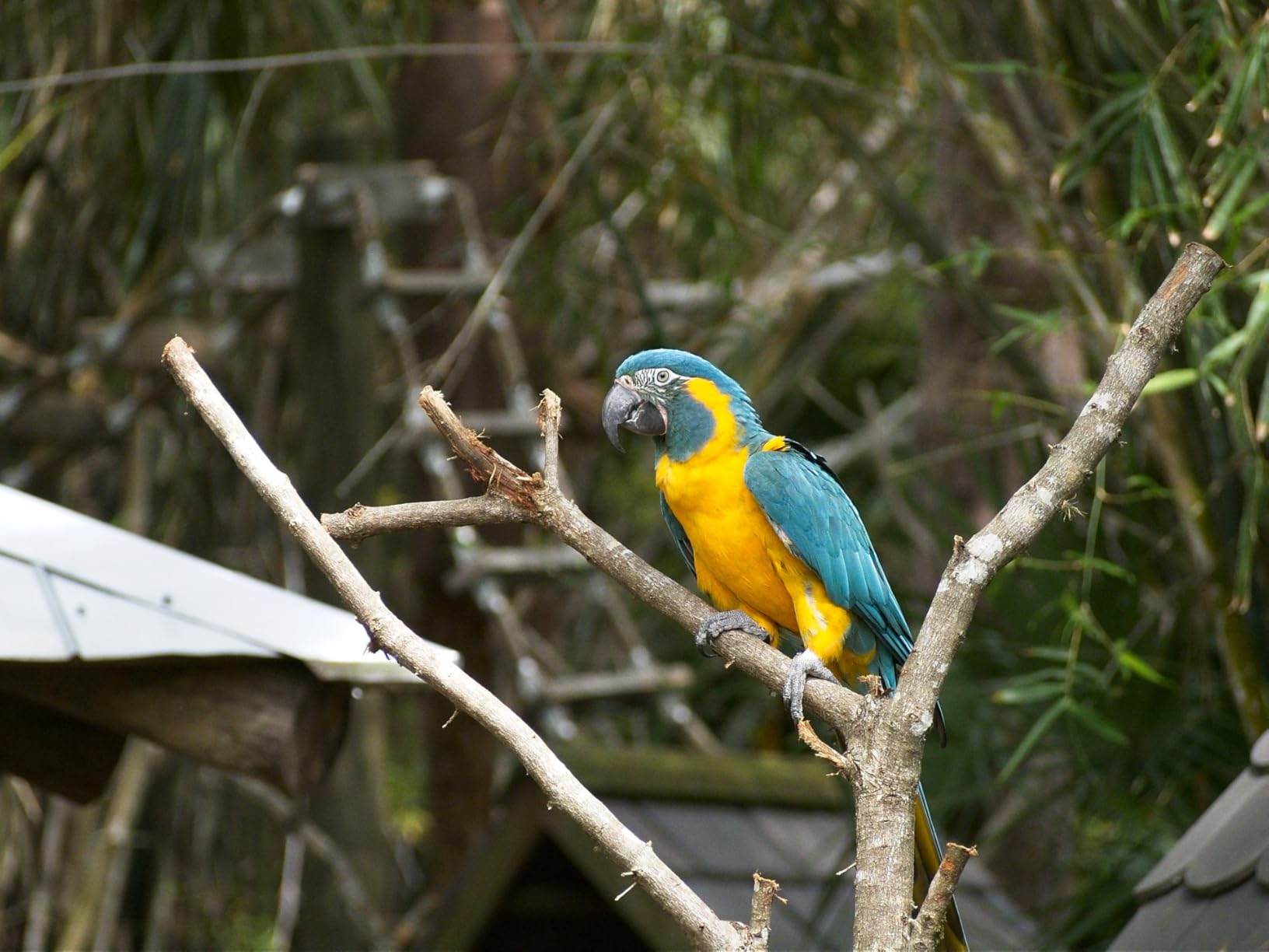 OM SYSTEM Olympus M.Zuiko Digital 40-150mm F4.0-5.6 R Black for Micro Four Thirds System Camera, 3.75x Zoom Lens, Portable Design - Customer Photo 2