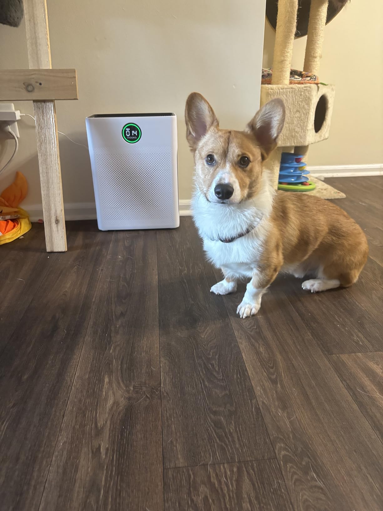 Air Purifiers for Home Large Room up to 2200sq.ft, MOOKA Air purifier for Home Pets with Washable Filter, PM 2.5 Display Air Quality Sensor Air Cleaner for Bedroom, Dorm room, Pets, Office, PR1 - Customer Photo 1