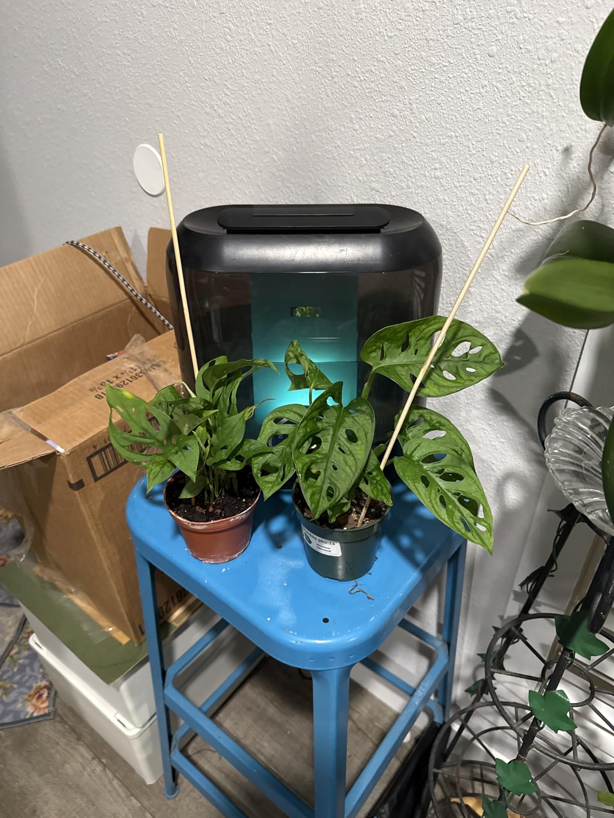 Dreo Humidifiers for Bedroom, 3L Top Fill 30H & 26dB Quiet Runtime for Large Room, Cool Mist Ultrasonic Humidifier with Humidity Sensor, Night Light for Home, Baby, Nursery, Plants, 360° Nozzle, White - Customer Photo 1