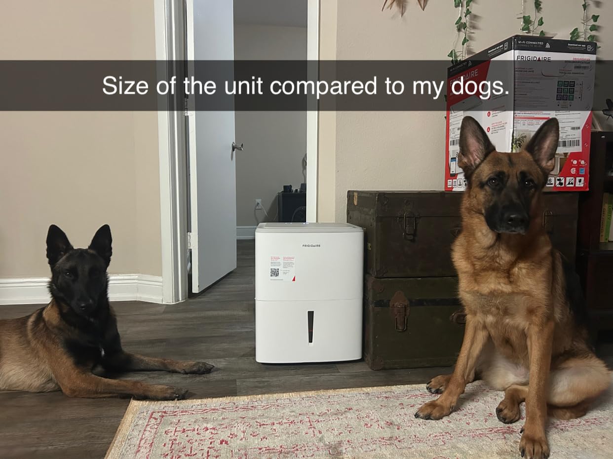 Frigidaire 50-Pint Portable Dehumidifier with Wi-Fi and Energy Star Certification for Medium/Large Rooms & Basements, Custom Humidity Control, Auto Shut Off, White - Customer Photo 1