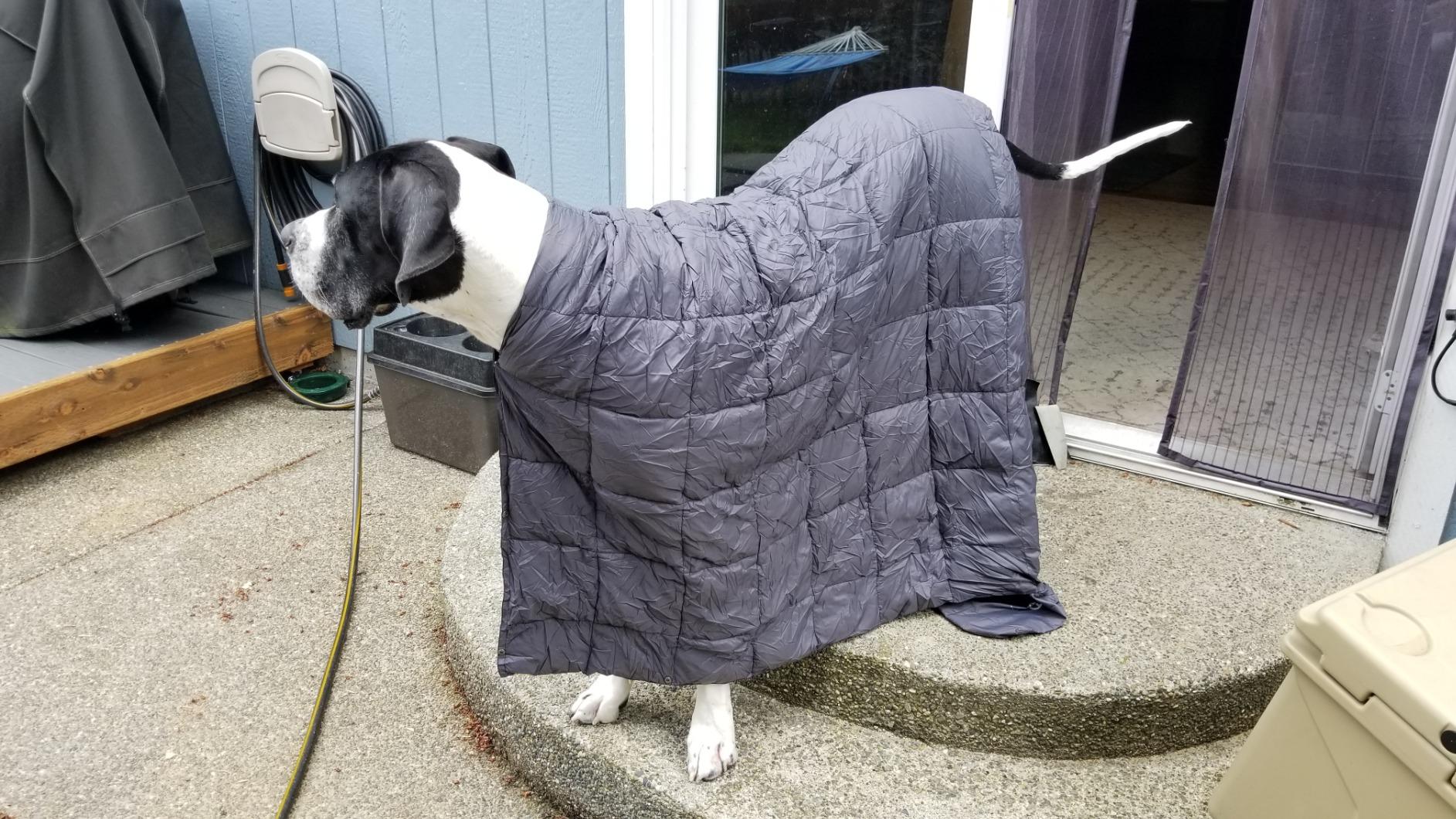 KingCamp Ultralight Camping Blanket, Packable Down Alternative Puffy Wearable Blankets Weatherproof Warm Package Quilt with Snap Buttons for Outdoor Hiking Travel Picnic Stadium (69