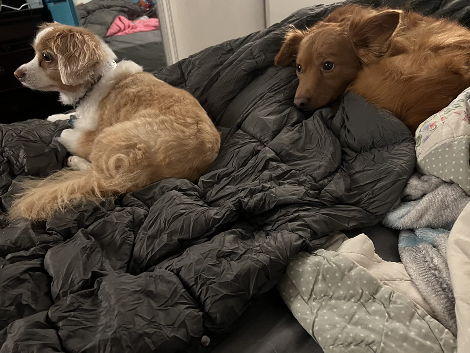 KingCamp Ultralight Camping Blanket, Packable Down Alternative Puffy Wearable Blankets Weatherproof Warm Package Quilt with Snap Buttons for Outdoor Hiking Travel Picnic Stadium (69