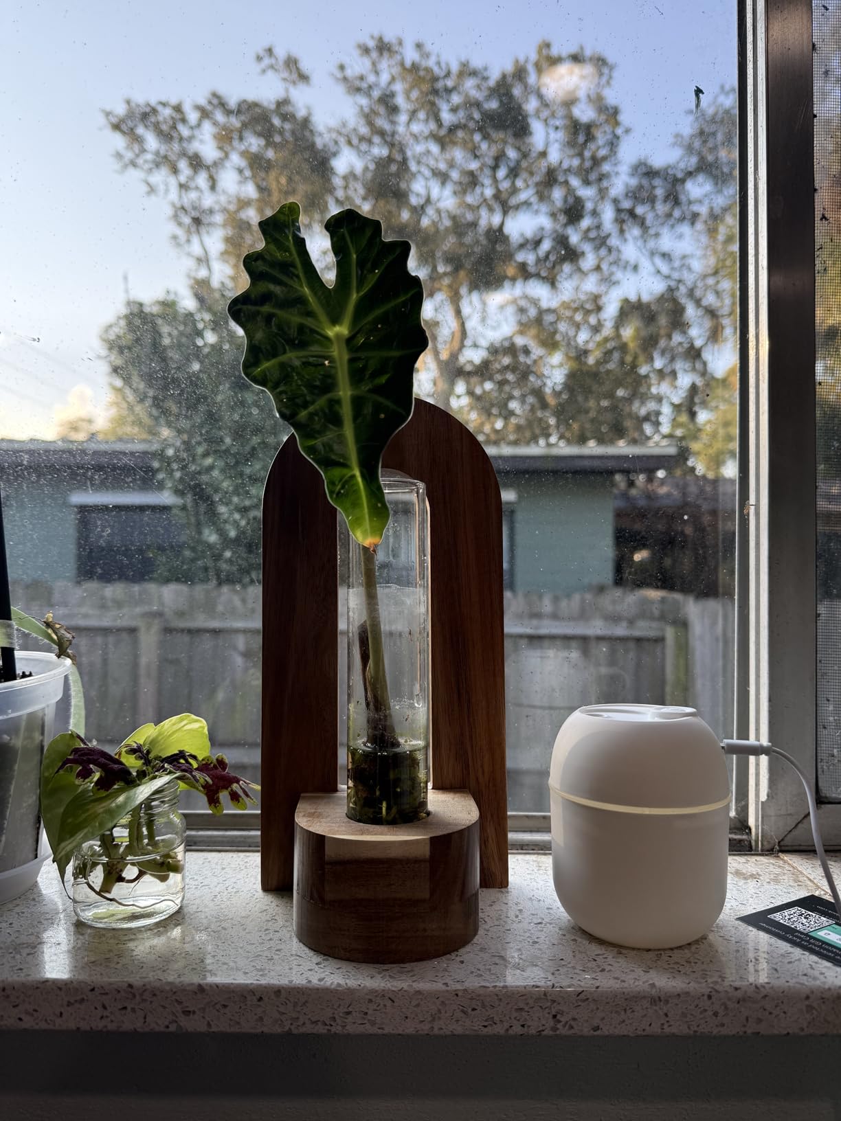 Portable Small Humidifier, USB Personal Desktop Humidifier for Car, Office Room, Bedroom, Auto Shut-Off, 2 Mist Modes, Super Quiet(220ml, White) - Customer Photo 2