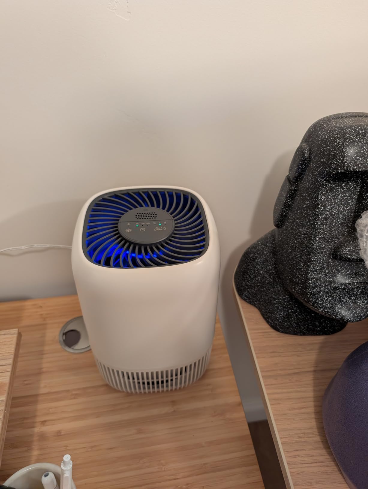 Air Purifiers for Home with H13 True HEPA Filter Up to 1076 Ft² for Pet Hair, Odors, Pollen, Smoke, Compact Air Cleaner with 3 Speeds, Timer, Aroma Quiet 360°Intake Filter, White Customer Review Air Purifiers for Home with H13 True HEPA Filter Up to 1076 Ft² for Pet Hair, Odors, Pollen, Smoke, Compact Air Cleaner with 3 Speeds, Timer, Aroma Quiet 360°Intake Filter, White - Customer Photo 1