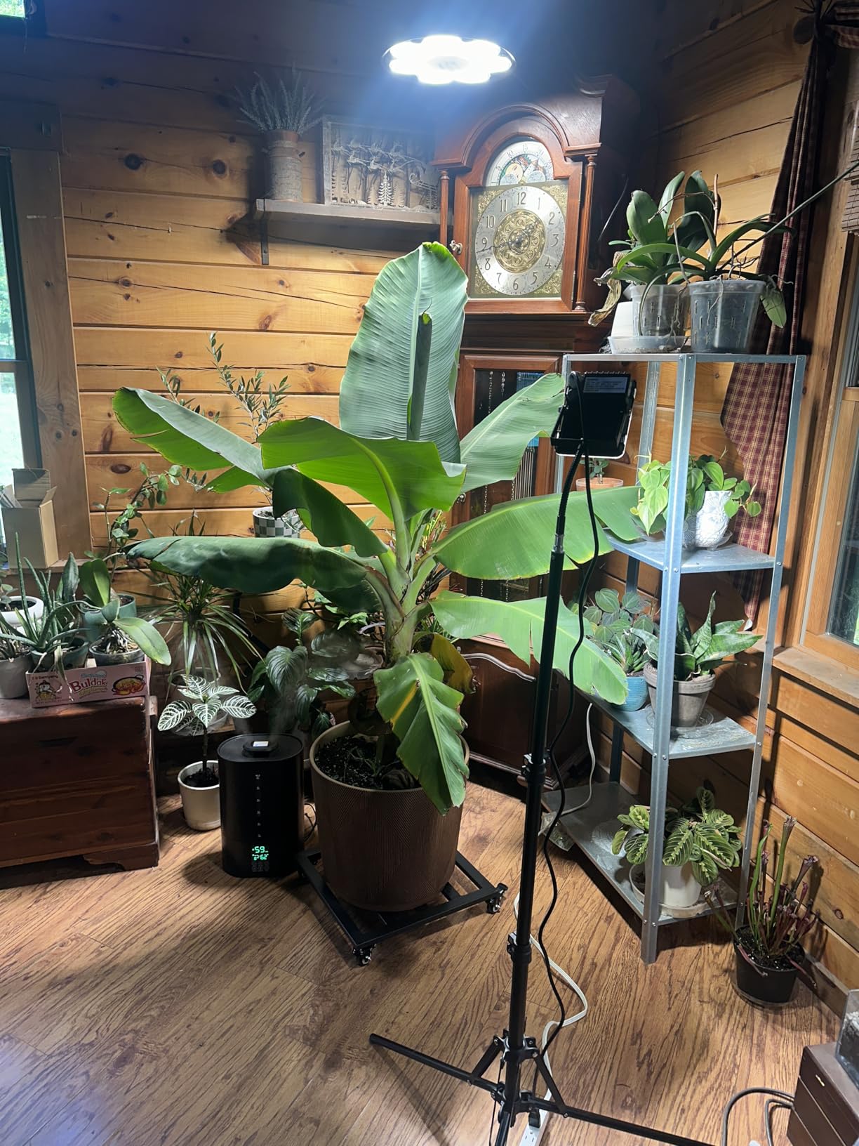 6L Humidifiers for Bedroom Large Room Home, Cool and Warm Humidifier for Plants Mist Top Fill Desk Humidifier Essential Oil Diffuser, Quiet Humidifiers with Adjustable Mist,360°Nozzle-Midnight Black - Customer Photo 1