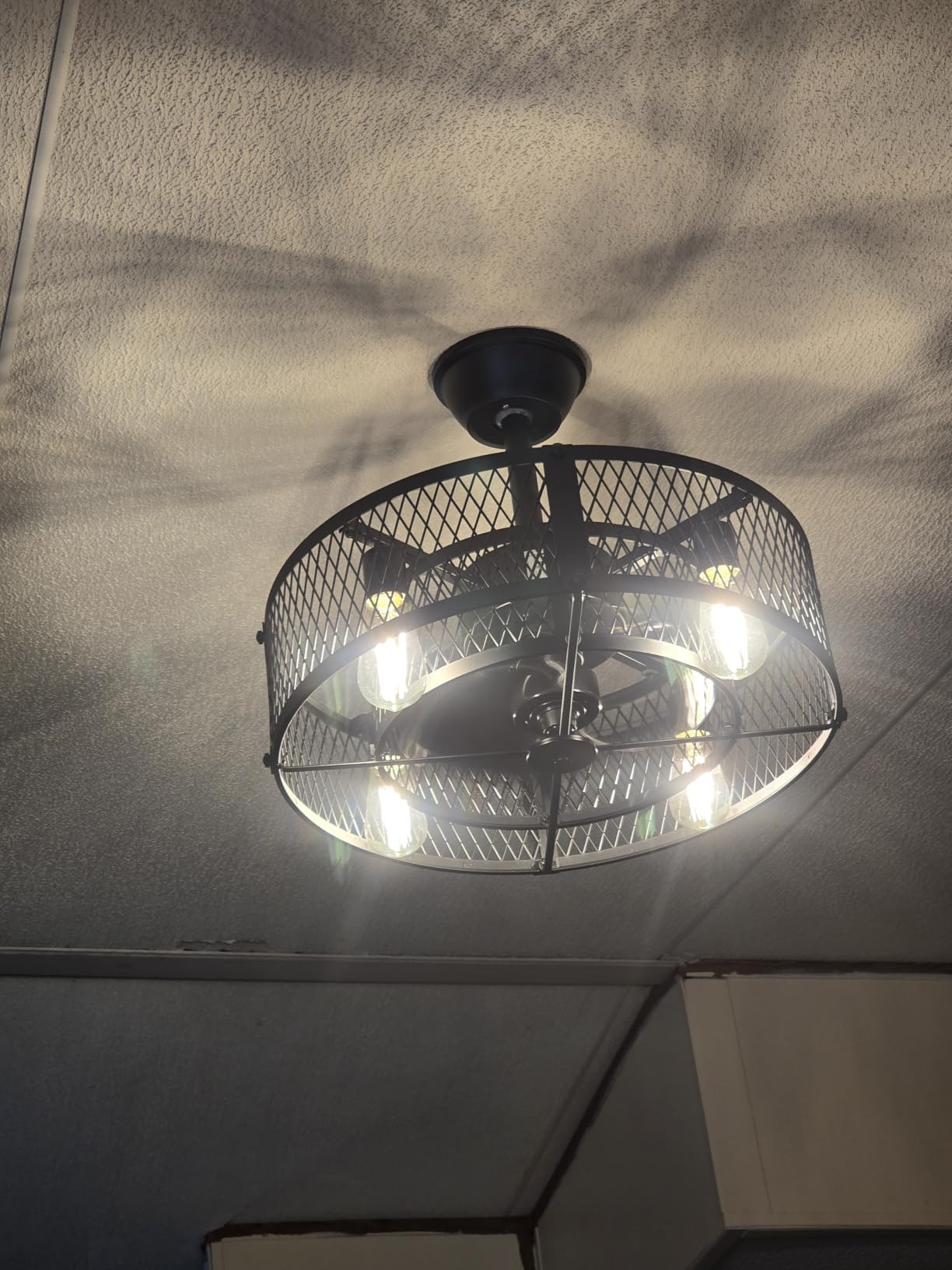 DLLT Caged Ceiling Fan with Light: 20
