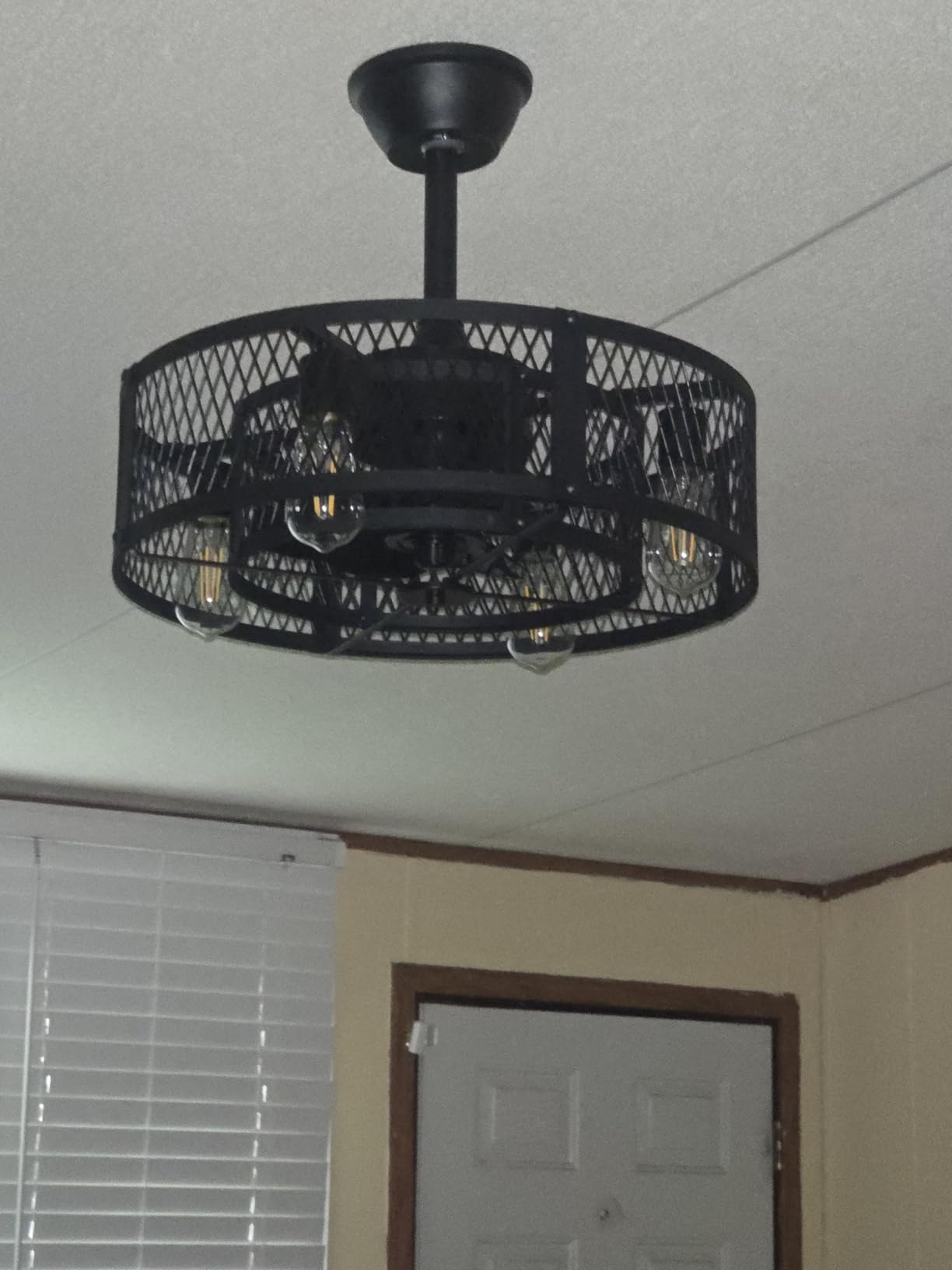 DLLT Caged Ceiling Fan with Light: 20