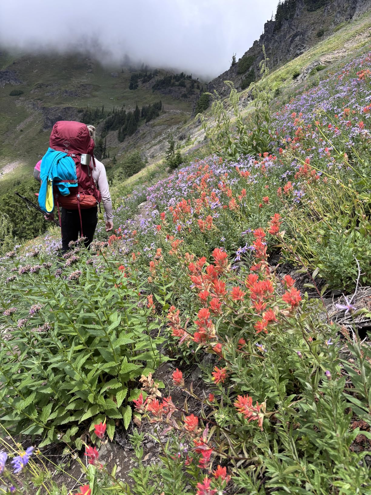 Mountain House Cheesy Beef Enchilada Bowl | Freeze Dried Backpacking & Camping Food | Gluten-Free | 2 Servings - Customer Photo 1